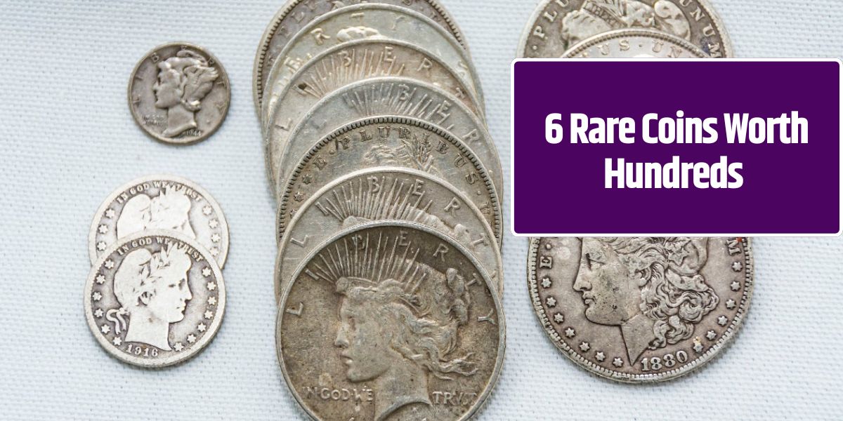 6 Rare Coins Worth Hundreds That Are Highly Sought After by Collectors