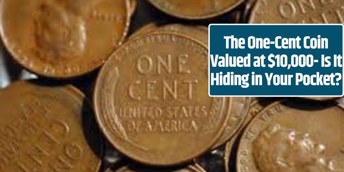 The One-Cent Coin Valued at $10,000- Is It Hiding in Your Pocket?