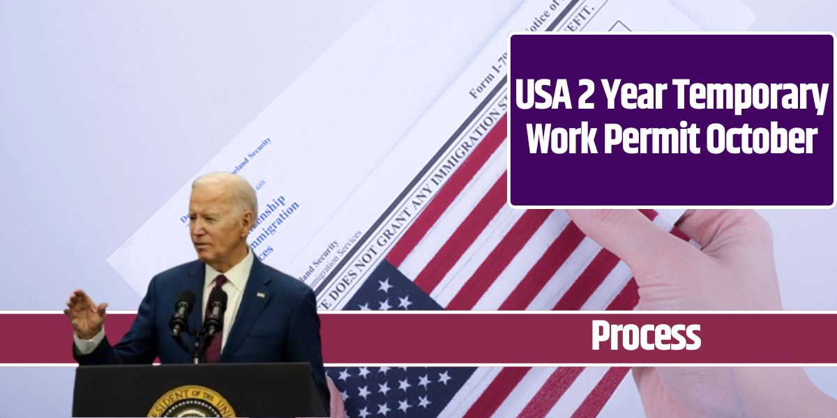 USA 2 Year Temporary Work Permit October